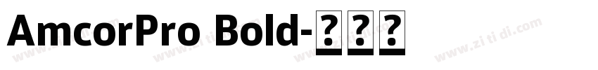 AmcorPro Bold字体转换
